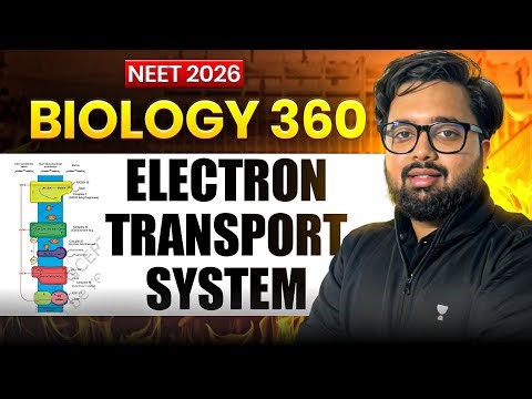 Electron Transport System | Detailed NCERT Diagram Review | NEET 2026