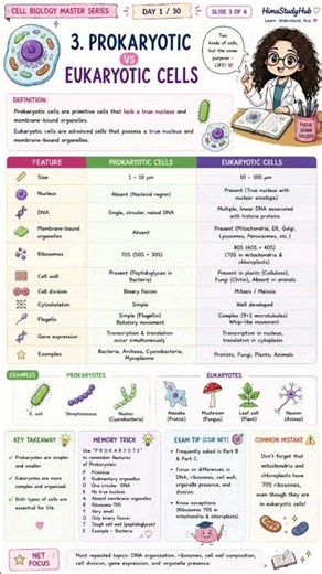cell biology master series for quick revision