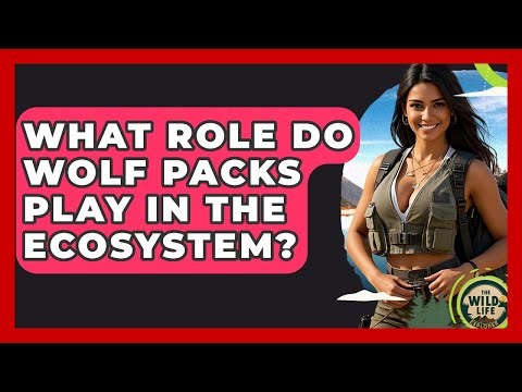What Role Do Wolf Packs Play In The Ecosystem? - The Wild Life Explorer