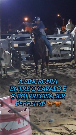 Prova de laço: precisão milimétrica na arena! ⏱️💥
