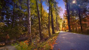 6.2K views · 38 reactions | Have you installed our beautiful cinemagraph screensaver for your Mac yet? It's a free download and sends you a stunning new cinemagraph to enjoy each day. We feature cinemagraphs from top Flixel Artists like Alexandre Miguel who has now created over 3,000 cinemagraphs with Flixel Apps. Install it now: https://flixel.com/products/mac/screensaver/ | Flixel | Facebook