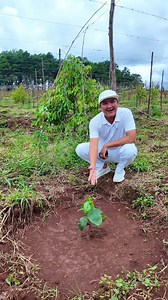 8.6ha cf với 360m mặt tiền đường Trần Can Pleiku giá bán 22T , 0866 .059 .670 gặp Tổng Tài làm việc luôn Anh Chị nha #bdspleiku #bdsgialai #reviewbdstaynguyen #dangvanhaibds | Đặng Văn Hải