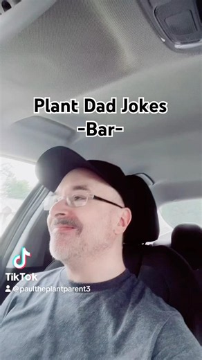 Plant Dad Jokes #dadjokes #jokes #laugh #smile #funny #silly