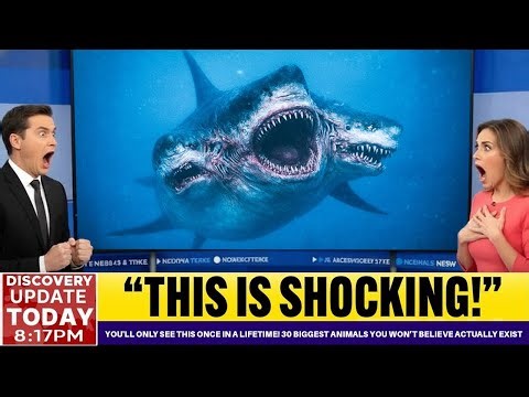You'll Only See This Once in a Lifetime! 30 Biggest Animals You Won’t Believe Actually Exist