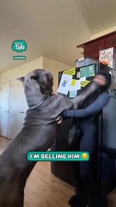 That's gotta hurt 😭 | Furry Tails