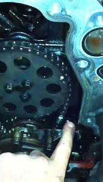 LS1 5.7ltr Stretched Timing Chain