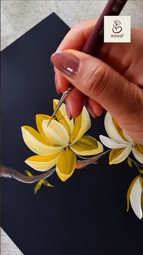 Yellow magnolias in bloom #wocol #flowerpainting