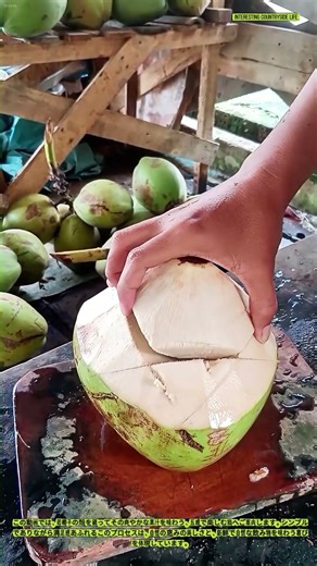 若椰子の殻を割る - 爽やかな体験