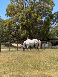 Living Legends on Reels