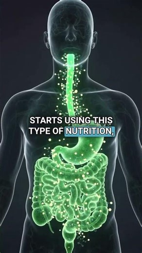 The secret of vegetables and green juice to feeling better