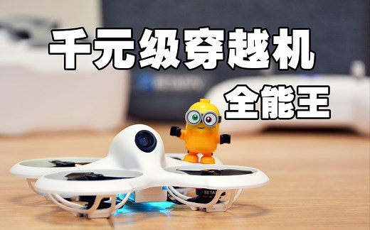 【硬核炸机测评】BETAFPV飞鲸Cetus Pro穿越机，小白友好型到手飞套装