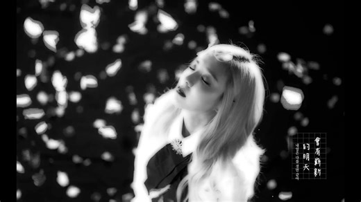 2NE1 - Goodbye 中文字幕 一句再见再难相见