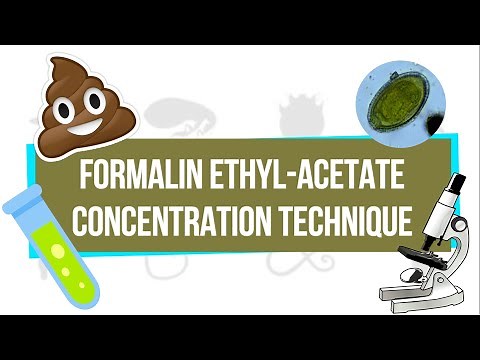 Formalin Ethyl-Acetate Concentration Technique (FEACT) | UPLB Parasitology Research Laboratory