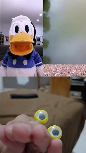 oobi and Donald duck puppet