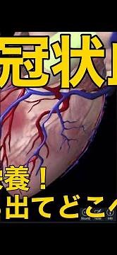 [Coronary Blood Vessels] Nourishing the Heart! Where Does It Come From and Where Does It Go?