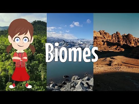 What Are Biomes? | Easy Explanation for Kids - Rainforest, Desert, Ocean & More!