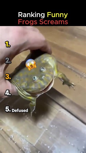 Ranking Funny Frog Screams Moments That Made You LOL! #ranking #funnyanimals #frog #moments