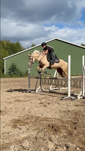 JUMPING WITH CASPER🔥 #shortsvideo #horse #fyp
