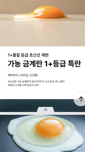2026년 4월 28일