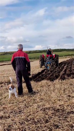 Vintage tractor ploughing match at Knockdee Farm in Caithness