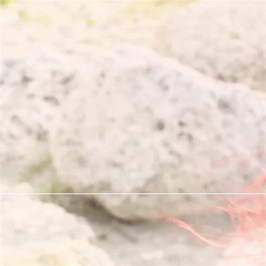 Dope2111 Artistry on TikTok