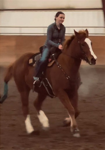 Big Sexy Barrel Racer: Built Not Bought