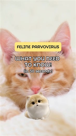 18 reactions | Parvovirus is highly contagious, but so is responsible...