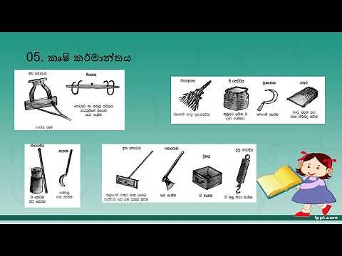 අප පරිහරණය කරන දේ (4 ශ්‍රේණිය පරිසරය)