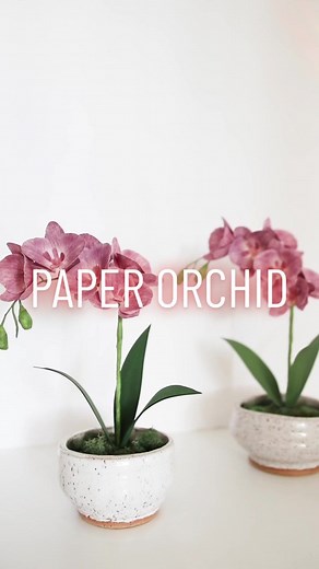 DIY Paper Orchid Tutorial: Make Beautiful Orchids at Home