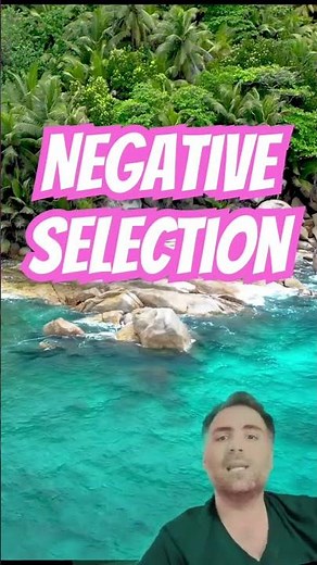 Negative Selection in T Cells: The Key to Preventing Autoimmunity 🧬