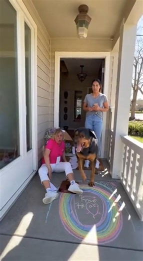 POV: You're Screaming at a Dog Owner 💀🐕 #instantregret #shorts