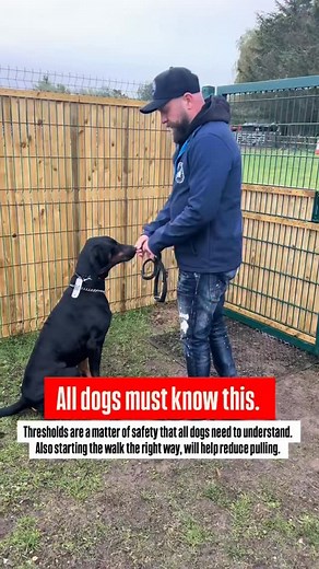 39K views · 683 reactions | All dogs must know this | Adam Spivey | Facebook