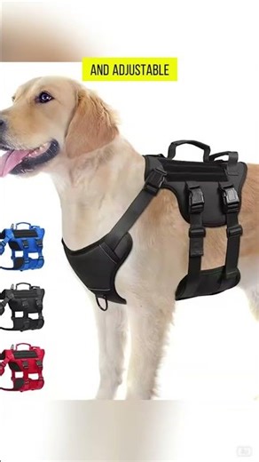 Heat-Resistant Tactical Service Dog Harness With No-Pull Adjustable Fit & Reflective Safety