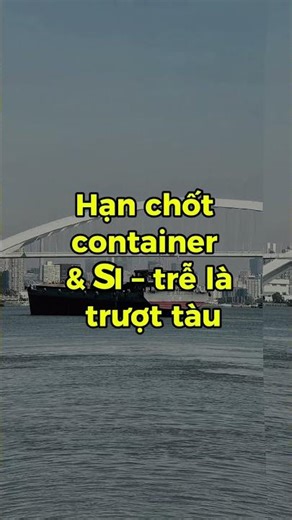 Giải Mã Cut-Off Time: Quy Định Bắt Buộc Mà Mọi Chủ Hàng Phải Biết Để Tránh Thảm Họa Rớt Tàu