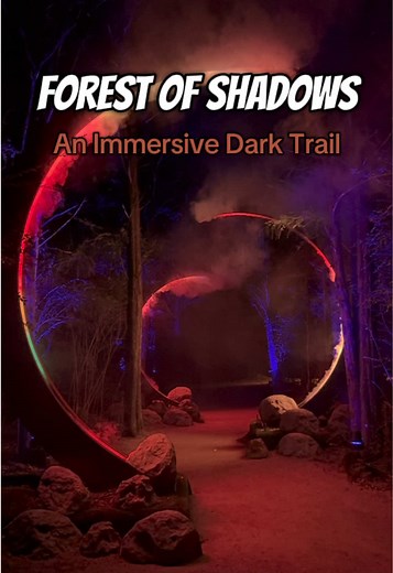 Forest of Shadows: Immersive Dark Trail Experience