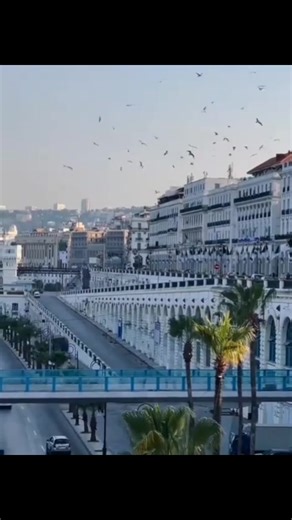 Exploring Algeria: Africa's Largest Country