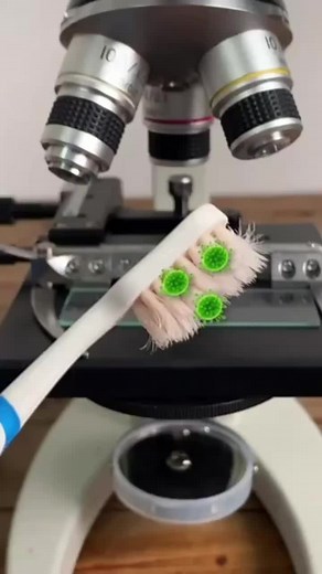 Examining Teethbrush Under the Microscope