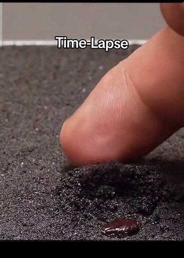 Amazing Time-Lapse Photography