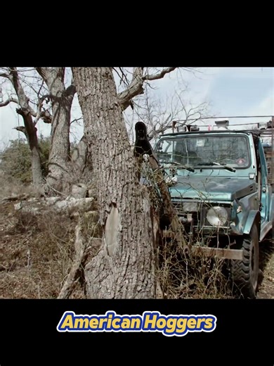 Wild Boar Hunting in Texas: A Thrilling Experience