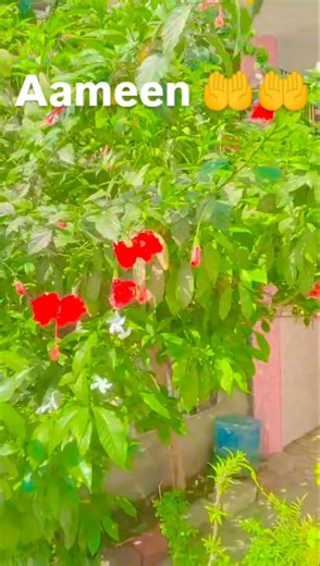 sbe kadr ##dua#viral, #trending #video 🤲ramadan Mubarak ||dua