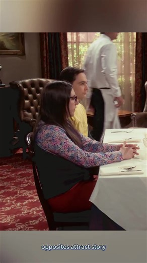 Exploring the Plot of The Big Bang Theory