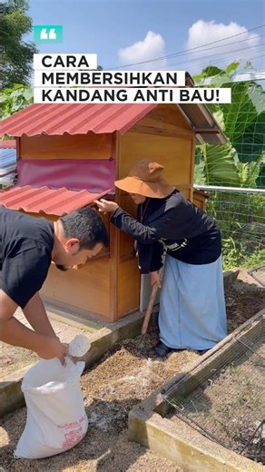 Cara Membersihkan Kandang Anti Bau!
