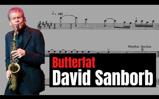 【萨克斯】DAVID SANBORN  《BUTTERFAT》ALTO SAX