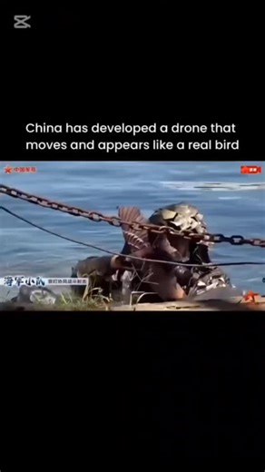 editorjho97 on Instagram: "This video shows a bird shaped drone flying with natural wing movements. The design copies how real birds flap and glide, making it hard to notice in the sky. Many countries are researching biomimicry where machines copy nature to improve performance and stealth. Bird style drones can be used for surveillance, research and rescue operations. Their quiet flight and realistic look help them move without attracting attention. This clip highlights how drone technology is e