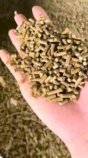 WA: +8618695908228 Extruder