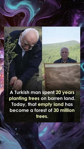 Turkish man spent 20 years planting trees—now a 30 million-tree forest stands. 🌳❤️