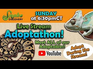 Adoptathon- November 5, 2023!