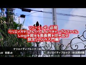 あなたのカメラは、本当の実力を発揮しているか？ クリエイティブルック vs ピクチャープロファイルの設定でLog以上の高画質を叩き出せ！