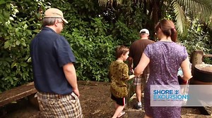 Experience the Caribbean like never before!! | Lee Travel