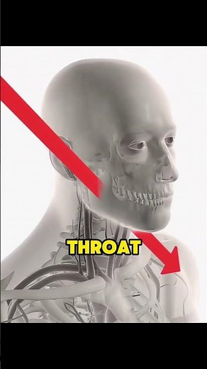 This clever athlete hit the referee with a javelin.